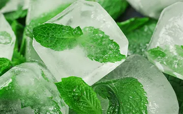 ILIA Salt 哩亞電子煙煙油（冰川薄荷）